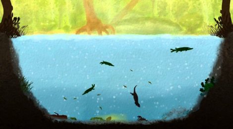 Conoce el funcionamiento de un ecosistema natural en Among Ripples